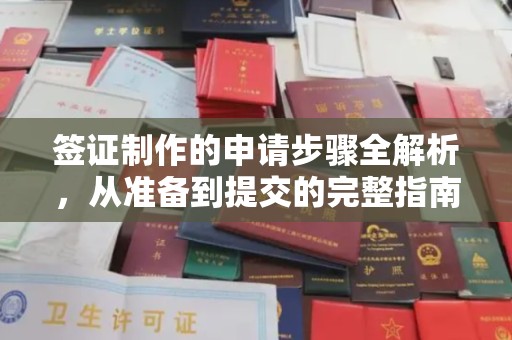 峨眉山签证制作的申请步骤全解析，从准备到提交的完整指南